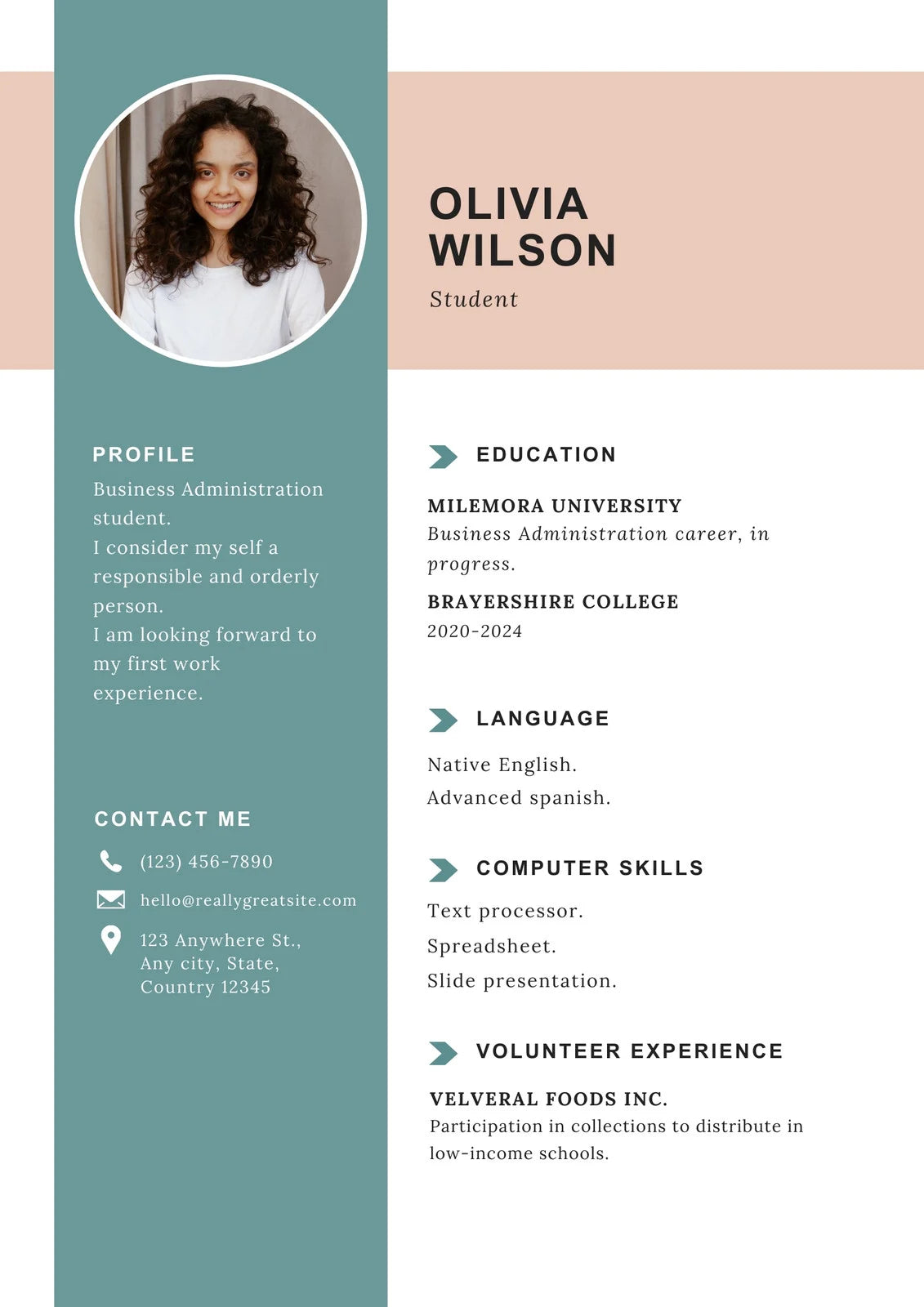 Canva Resume template